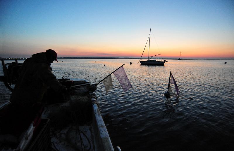 Fileyeur Arcachon a8.JPG
